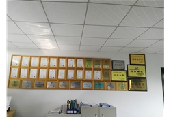 蓝冠荣誉墙