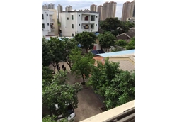 蓝冠办公大院俯视图